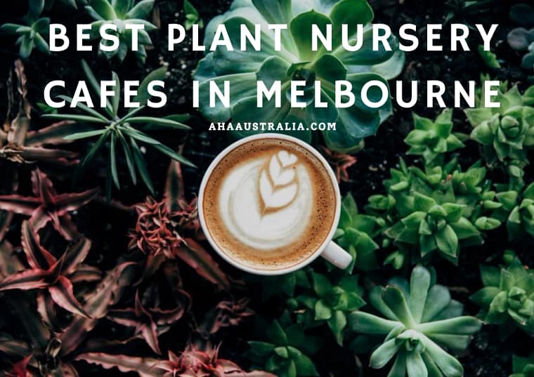 12 Best plant nursery cafes in Melbourne Aha Australia