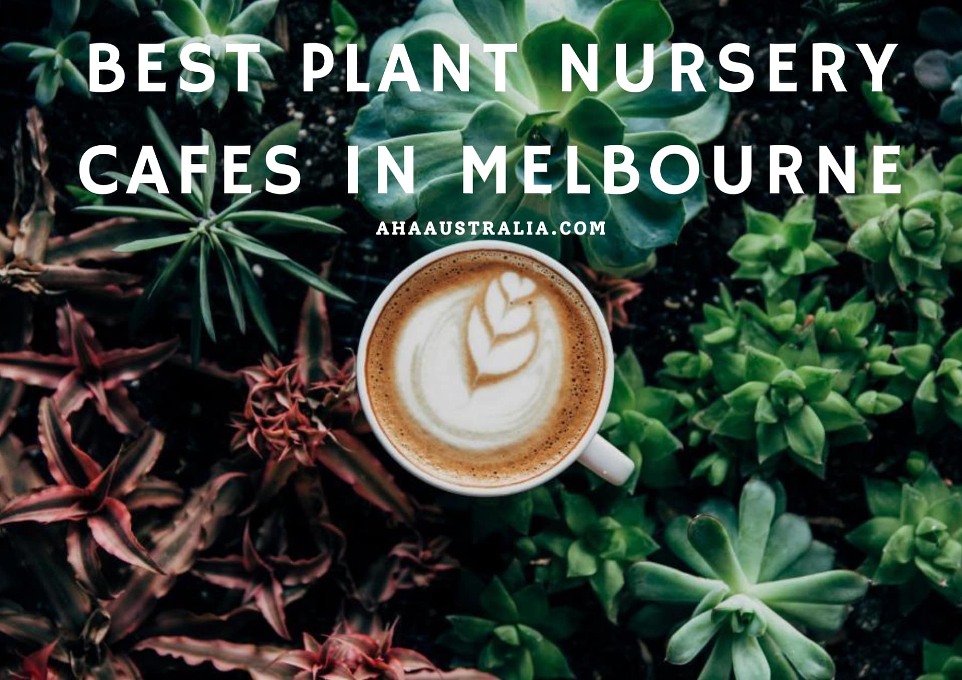 12 Best plant nursery cafes in Melbourne Aha Australia